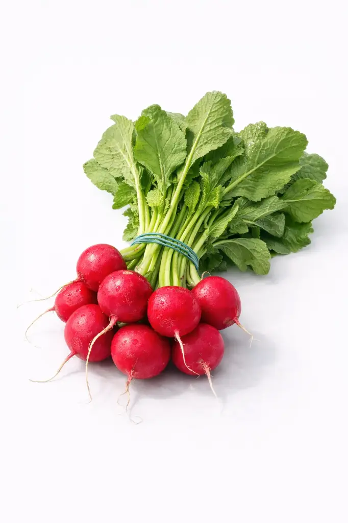 Rabanito Rojo