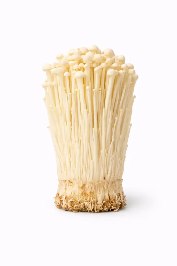 Seta enoki