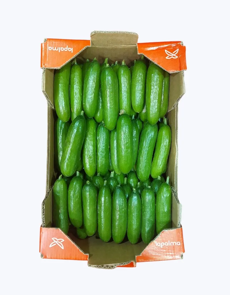 Pepino baby
