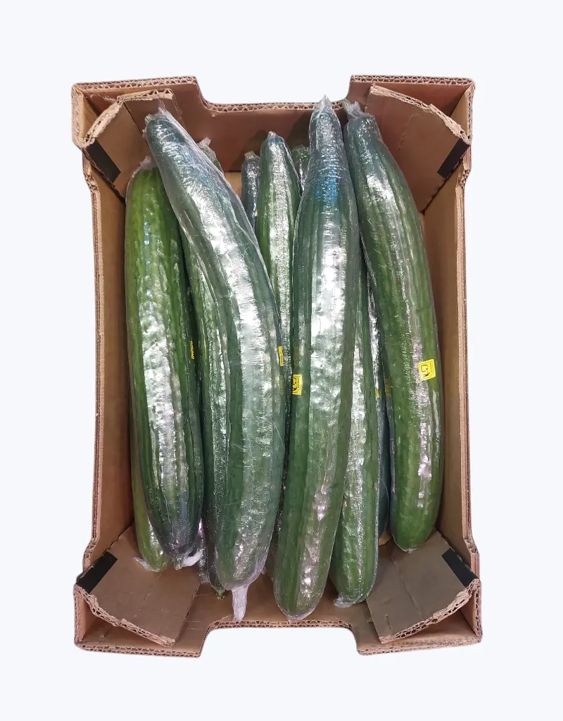 Pepino filmado