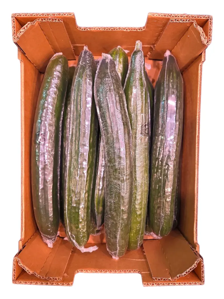 Pepino filmado (unidad)