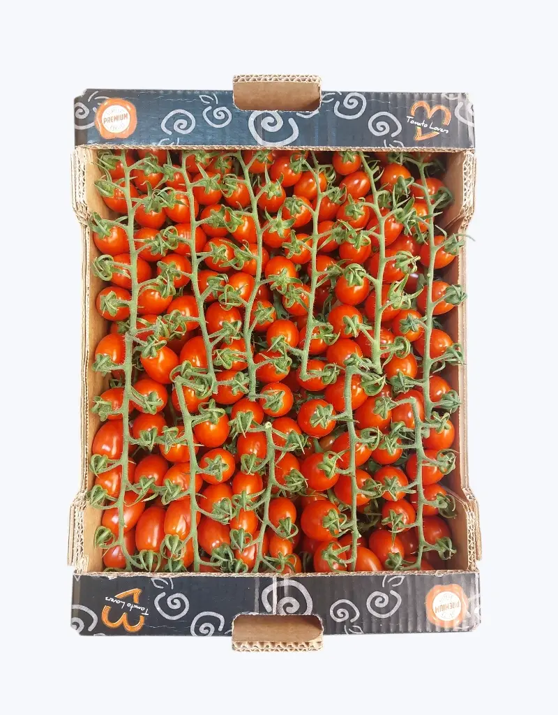 Tomate cherry pera rojo