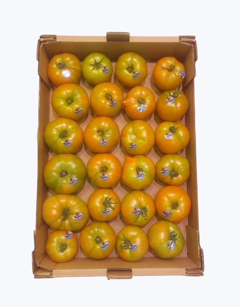 Tomate de guernika