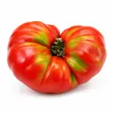 Tomate de Navarra