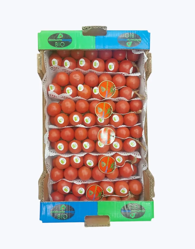 Tomate de penjar
