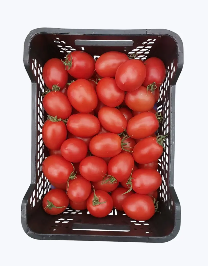 Tomate de pera