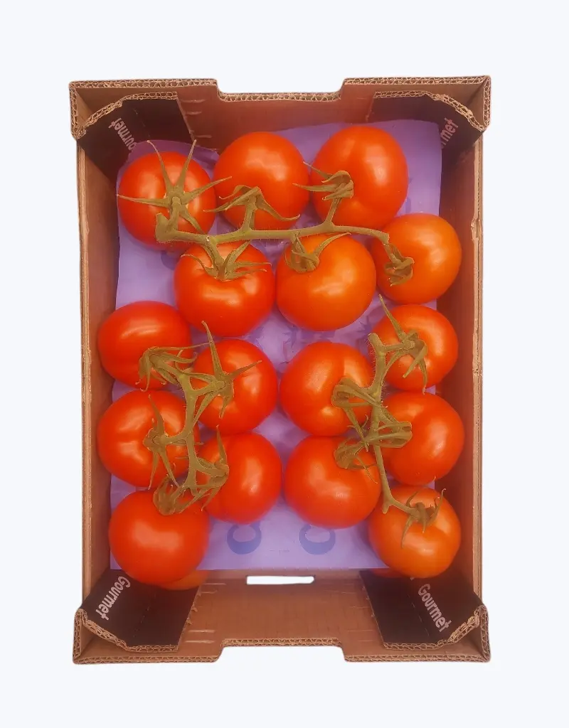 Tomate de rama