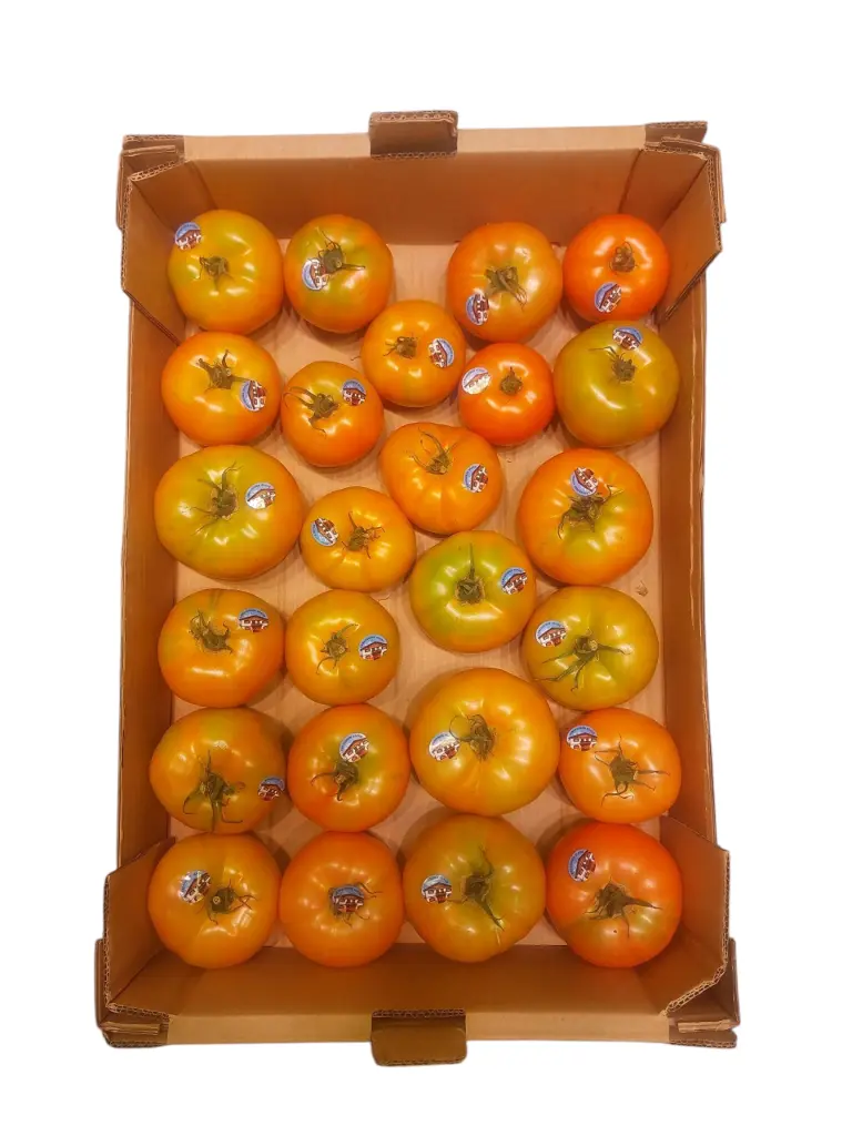 Tomate jack del señorio
