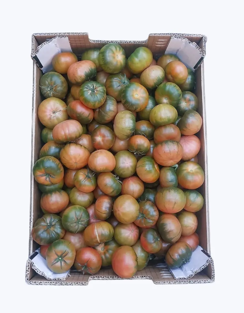 Tomate joselito mini