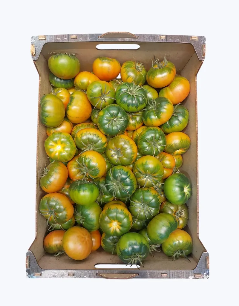 Tomate joselito perfect