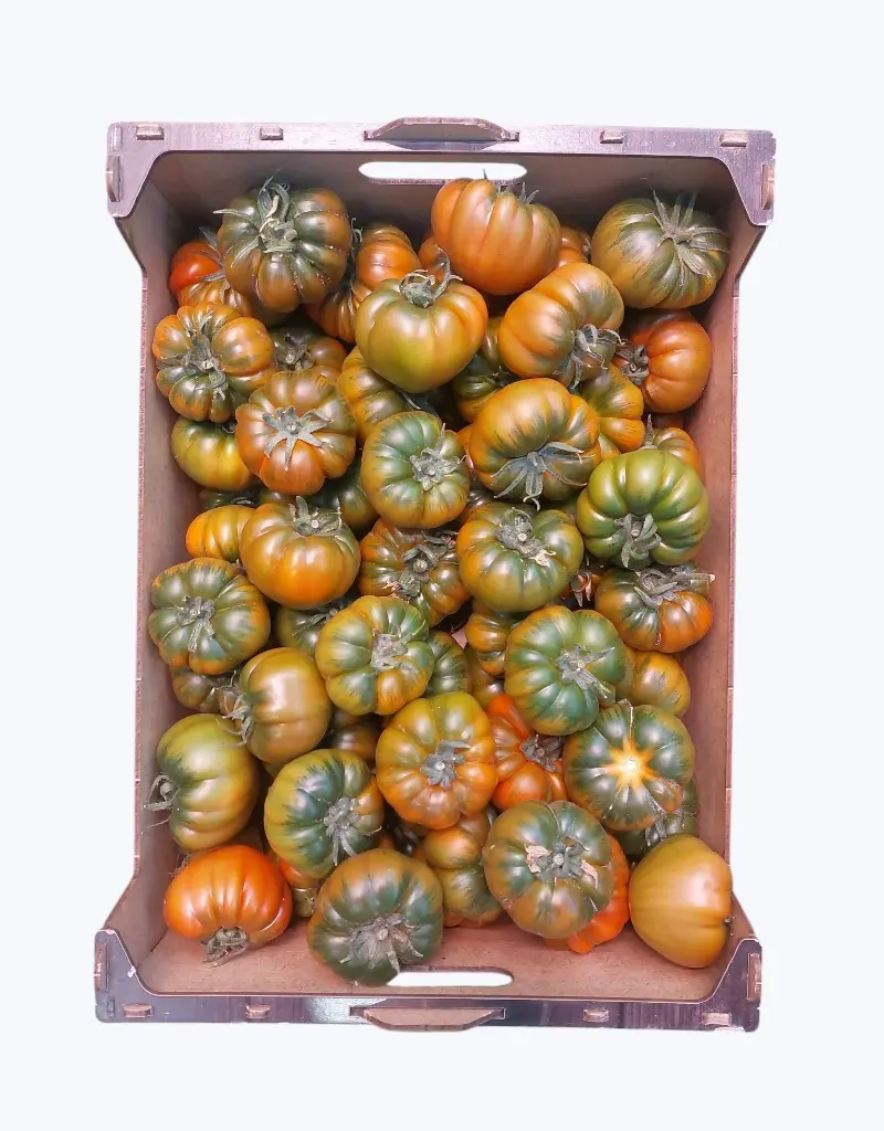 Tomate joselito pinton