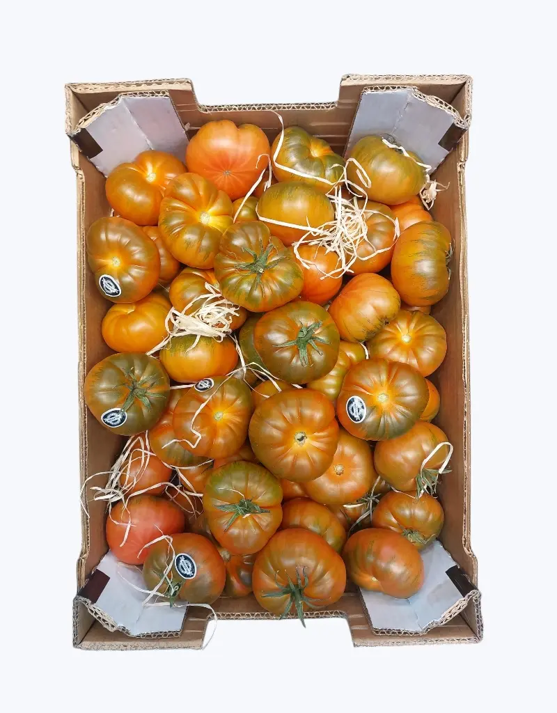 Tomate joselito rojo