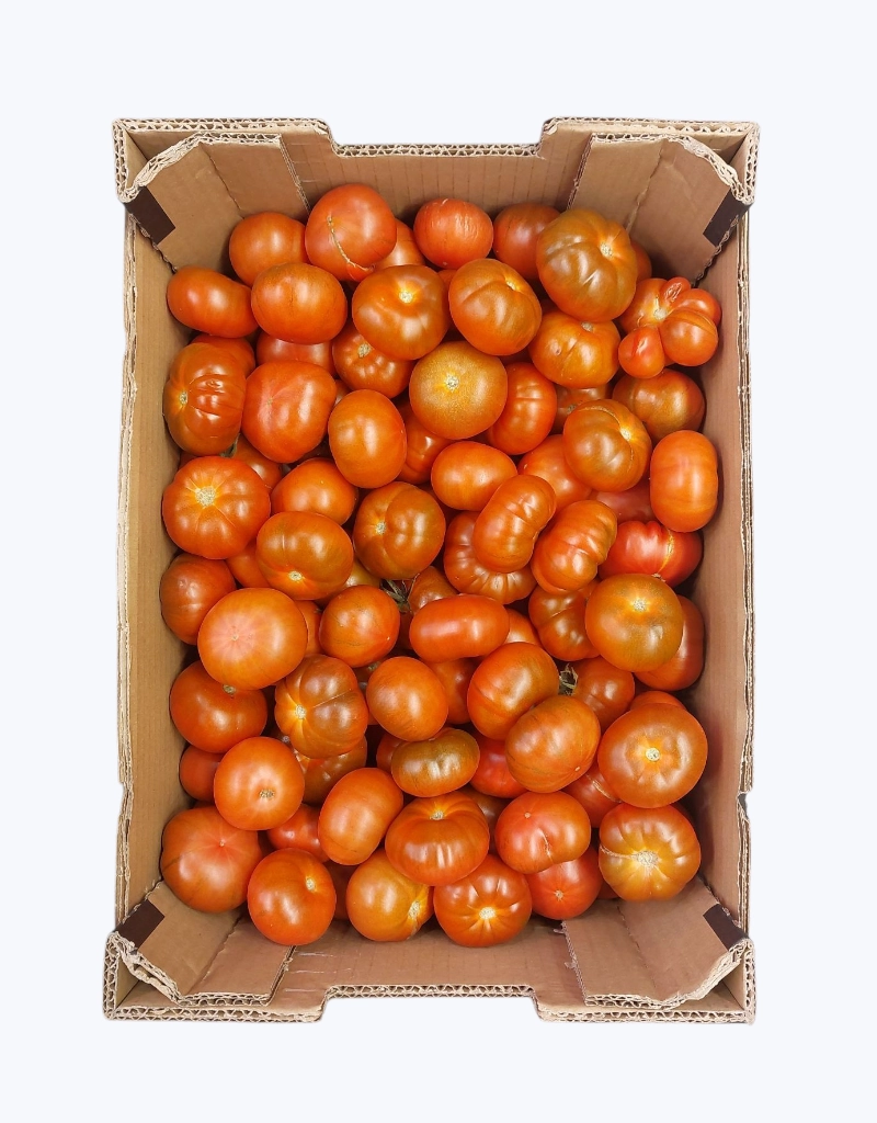 Tomate joselito rojo