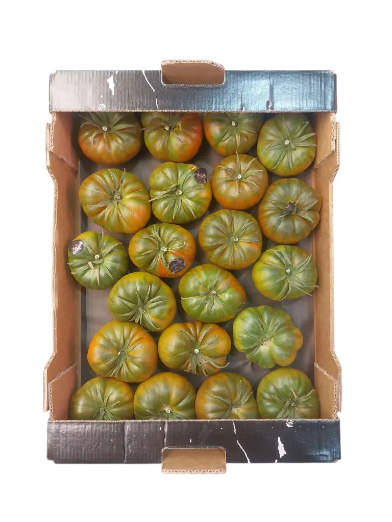 Tomate raff negro