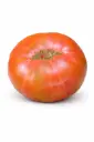 Tomate Rosa de Barbastro
