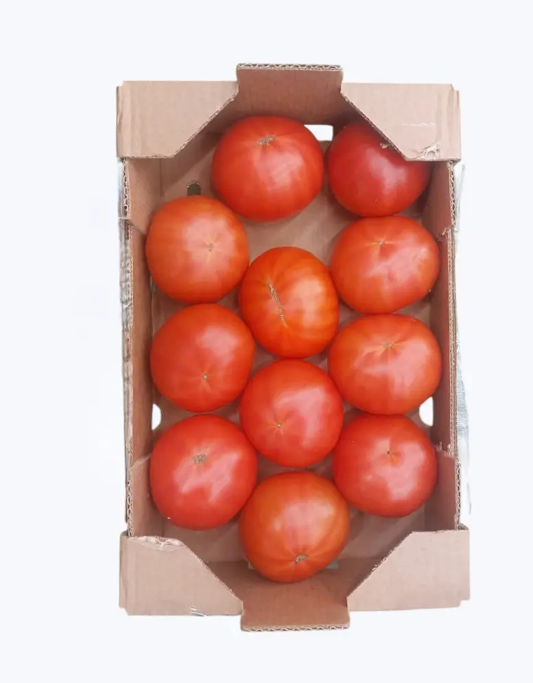 Tomate Umami