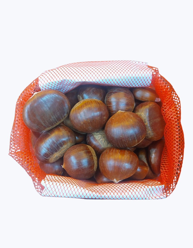 Castaña