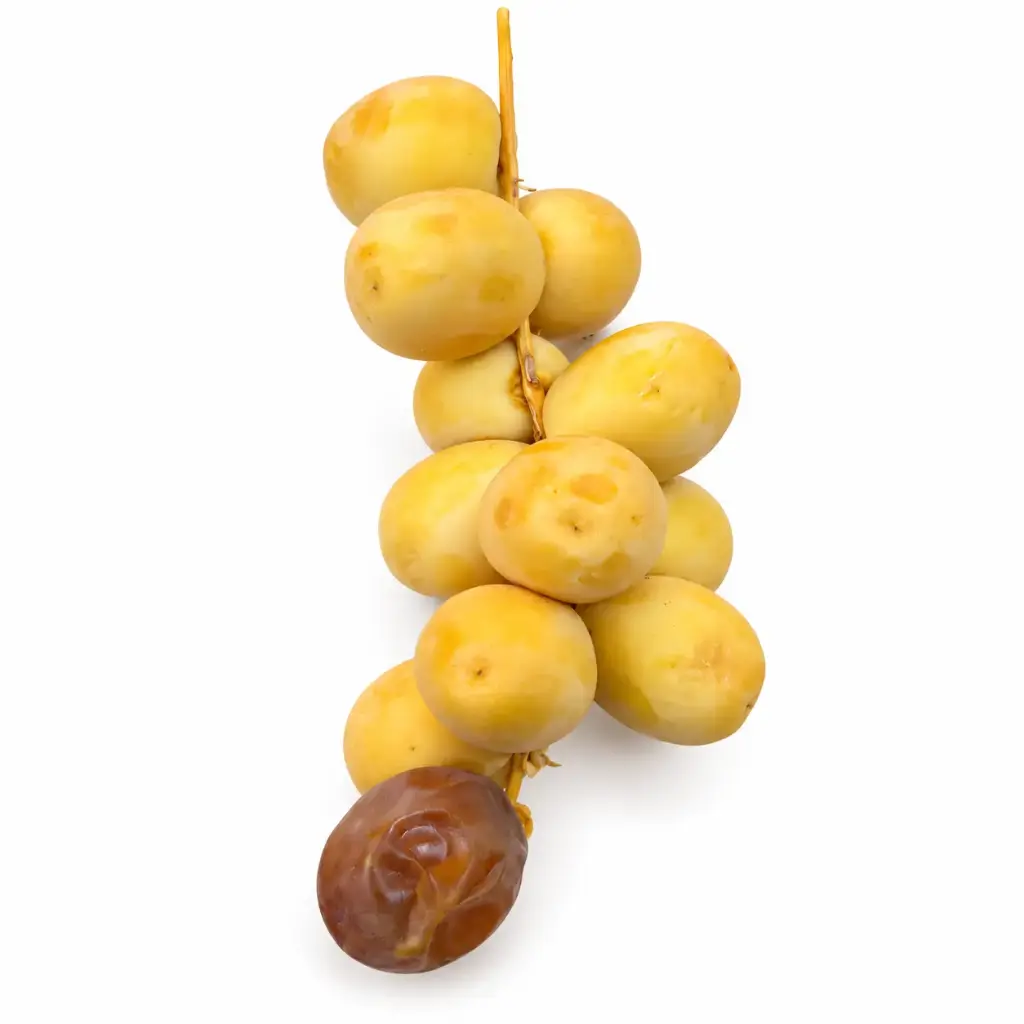 Datil Bahri Natural