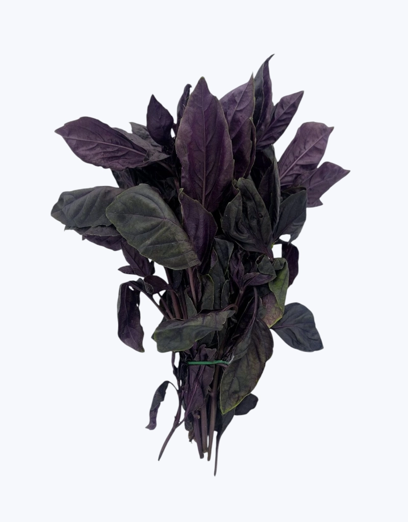 Albahaca morada thai fresca