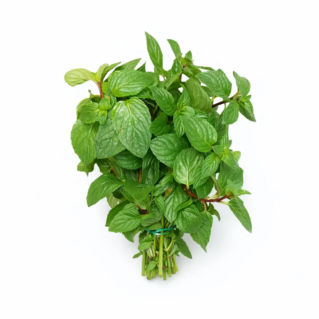 Menta Fresca