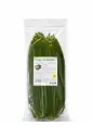 Hojas de Bambu 100 uds