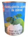 Jack fruit verde en conserva 565g