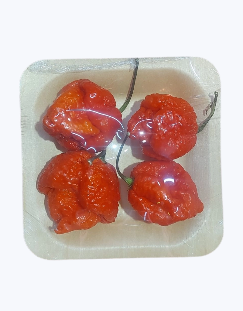 Chile Carolina Reaper (Unidad)