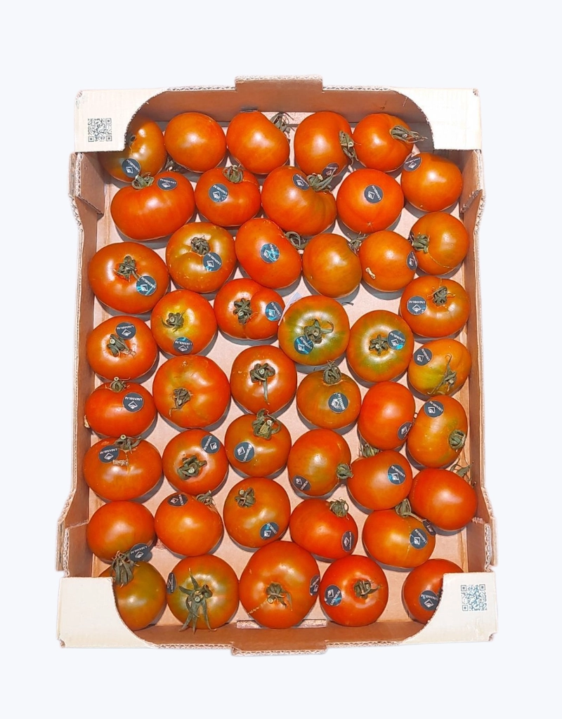 Tomate Umamium Extra