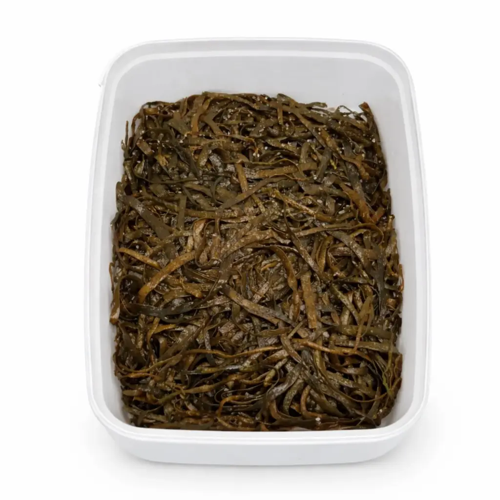 Alga Spaghetti de Mar Bio