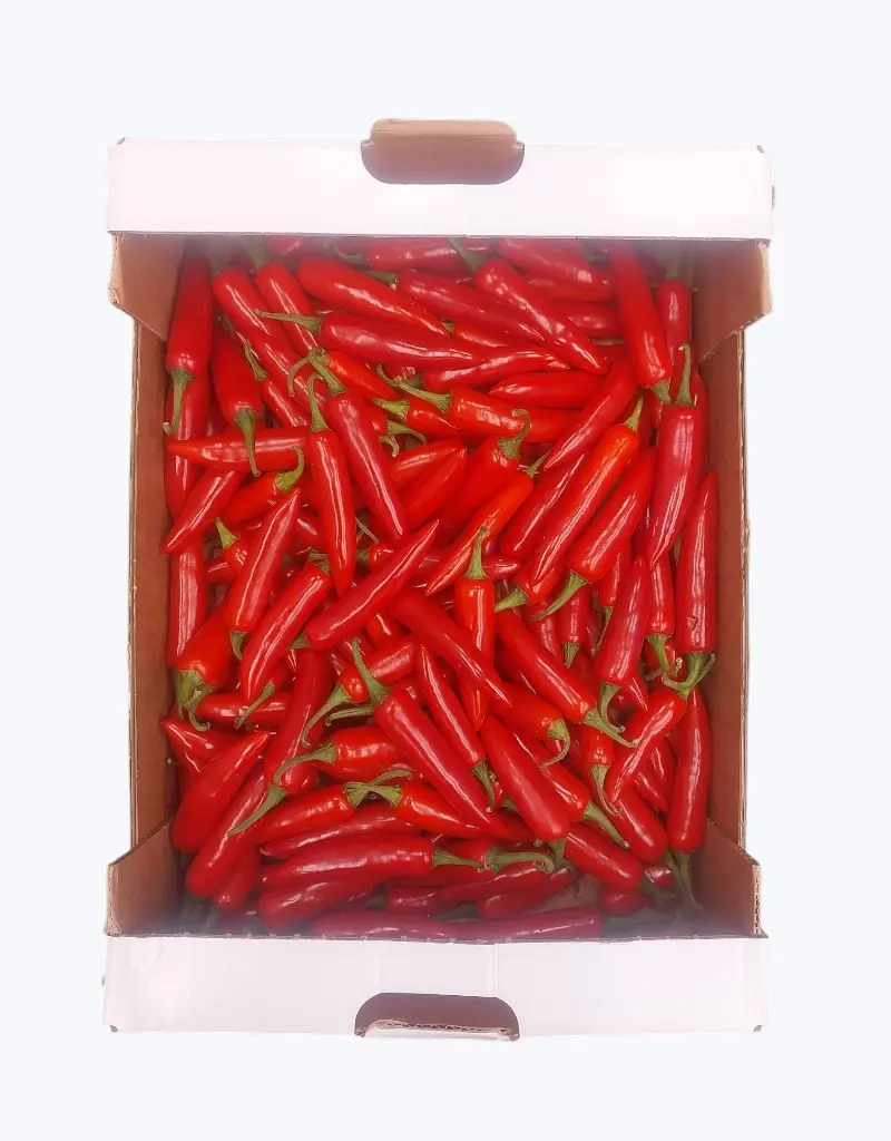 Chile Serrano Rojo