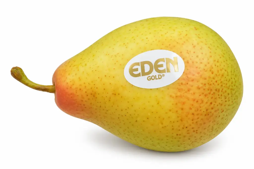 Pera Eden Gold 