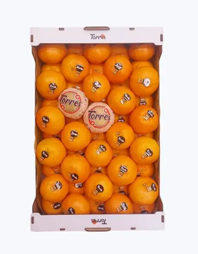 [1000017] Clementina orri