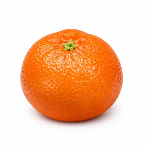 [1000023] Clemenvilla