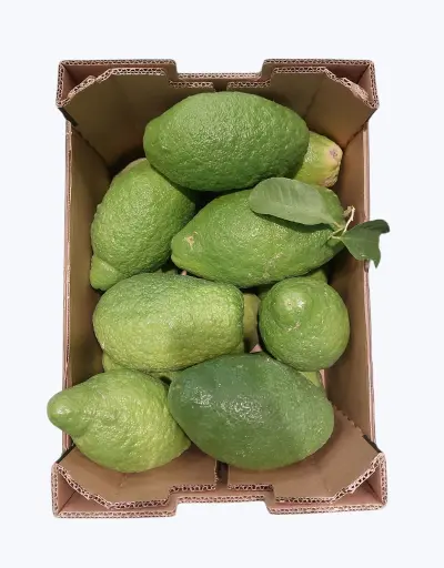 [1000025] Limon cidra