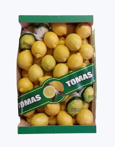 [1000027] Limon extra