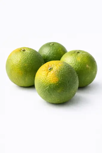 [1000031] Naranja amarga