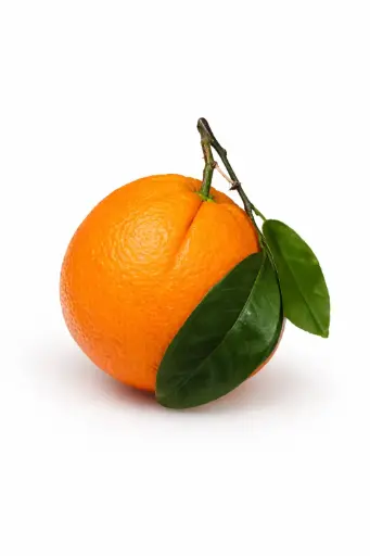 [1000035] Naranja con hoja