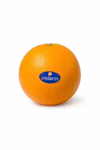 [1000047] Naranja navel late