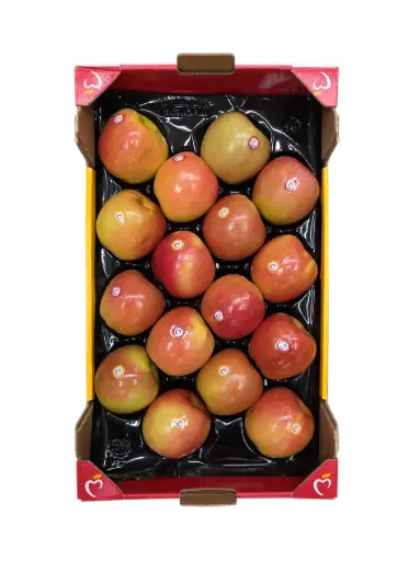 [1000067] Manzana fuji