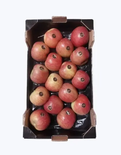 [1000067] Manzana fuji