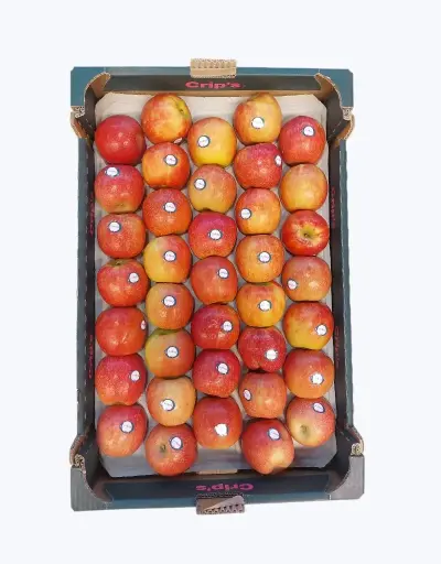 [1000069] Manzana fuji zumo