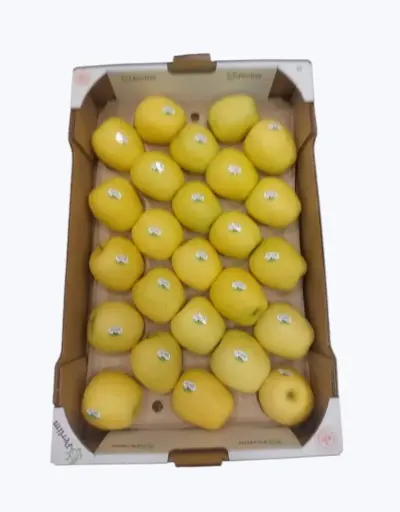 [1000071] Manzana golden