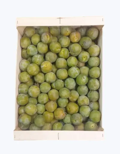 [1000139] Ciruela claudia