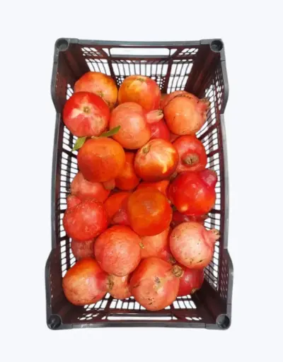 [1000155] Granada para zumo