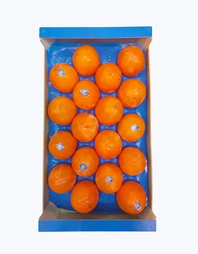 [1000163] Kaki clasico