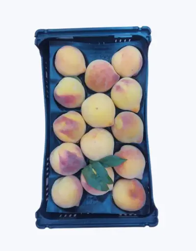 [1000171] Melocoton alta seleccion