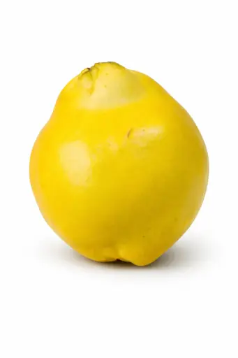 [1000189] Membrillo autentico