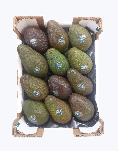 [1000227] Aguacate hass importacion