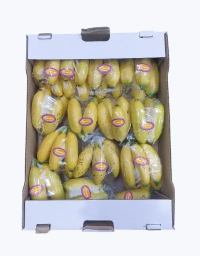 [1000243] Bananito por avion