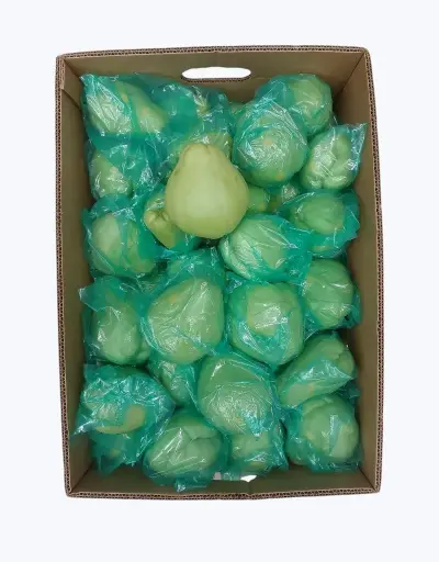 [1000257] Chayote